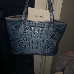 Brahmin Purse